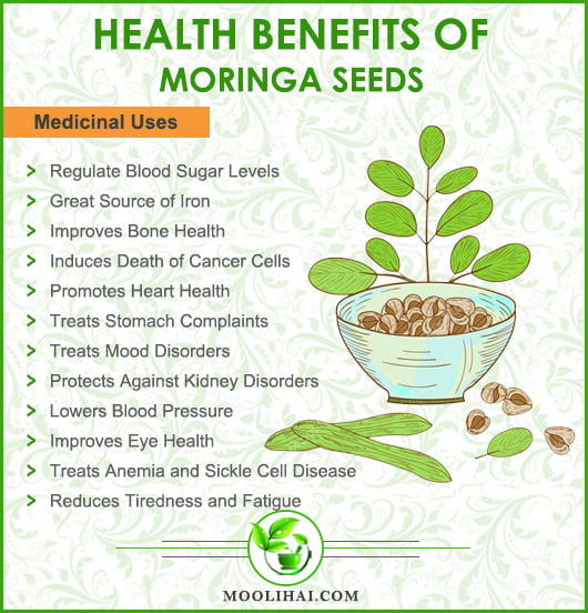 Moringa Powder 50% off deal get order now !!!